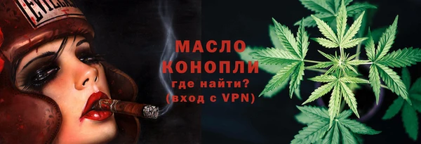 спиды Горняк