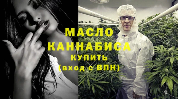 мдпв Гусев