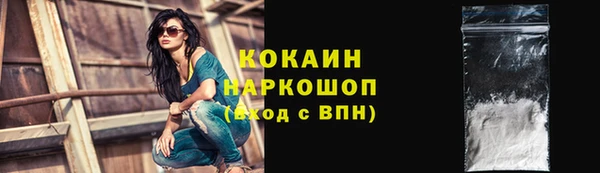 спиды Горняк