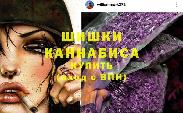 спиды Горняк