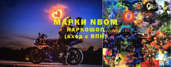 спиды Горняк