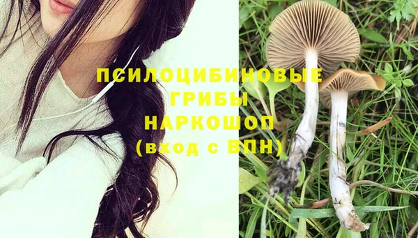 каннабис Горнозаводск