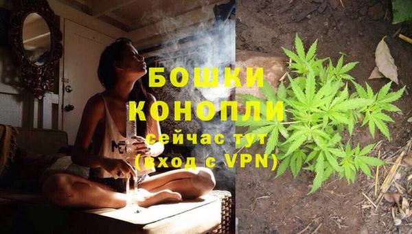 спиды Горняк